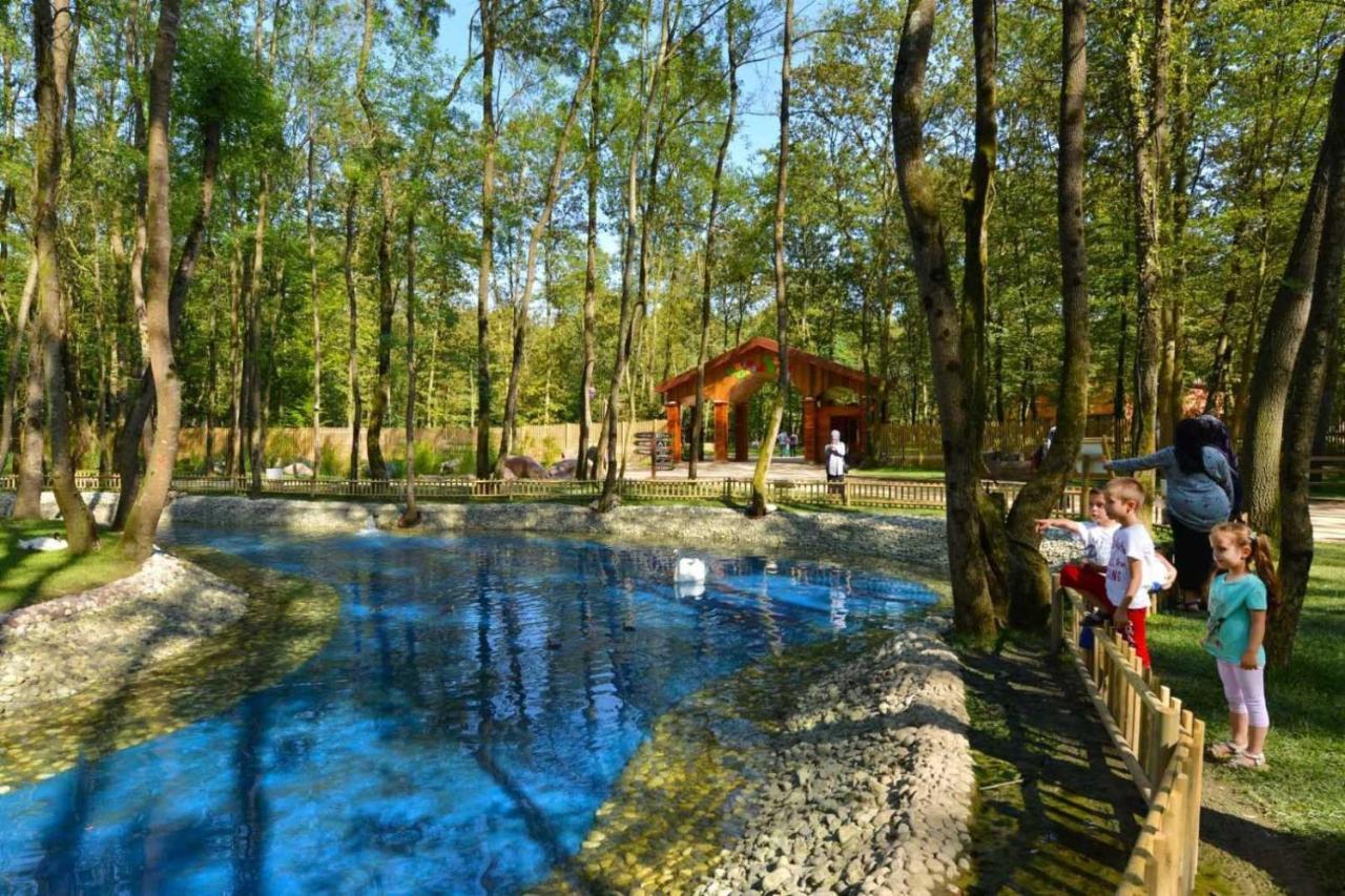 Wellborn Luxury Hotel Κοτζαελί Εξωτερικό φωτογραφία
